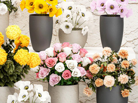 Collection bouquets vases flower shop peony roses store 3D Model