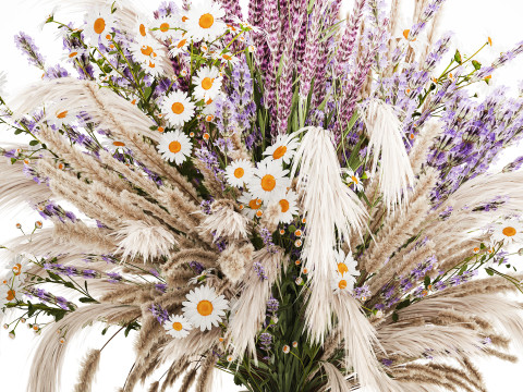 Buket realistis bunga kering dekorasi vas pampas lavender Model 3D