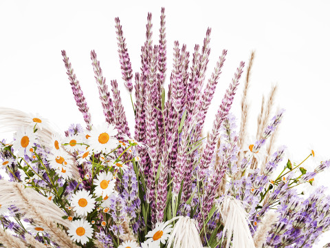 Buket realistis bunga kering dekorasi vas pampas lavender Model 3D