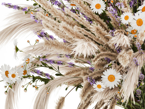 Buket realistis bunga kering dekorasi vas pampas lavender Model 3D