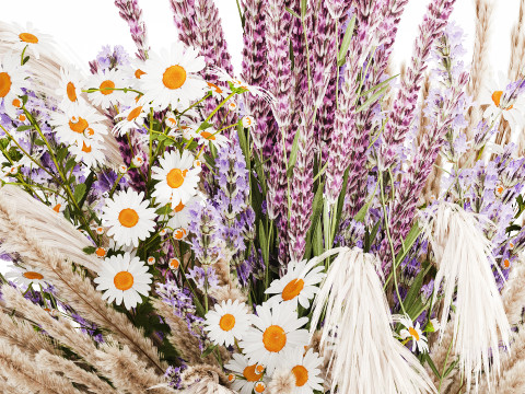 Buket realistis bunga kering dekorasi vas pampas lavender Model 3D