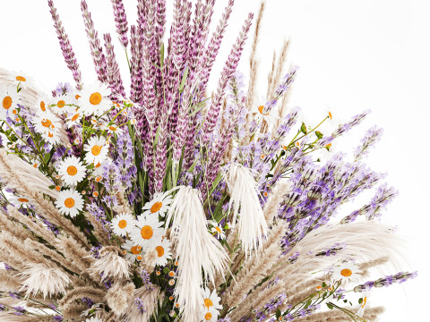 Buket realistis bunga kering dekorasi vas pampas lavender Model 3D