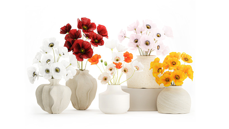 Kolekcja realistycznych bukietów dzikich kwiatów, zestaw maków, wystrój wazonu Model 3D .c4d .max .obj .3ds .fbx .stl .blend 