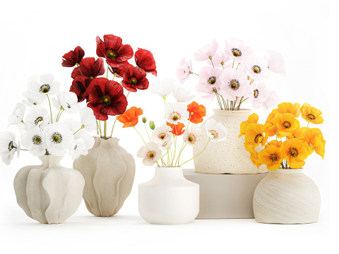 컬렉션 현실적인 야생화 꽃다발 양귀비 세트 꽃병 장식 3D 모델