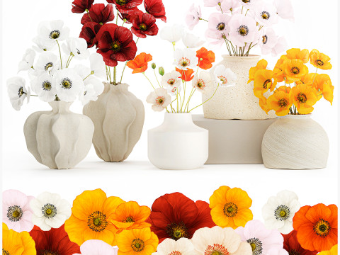 Kolekcja realistycznych bukietów dzikich kwiatów, zestaw maków, wystrój wazonu Model 3D