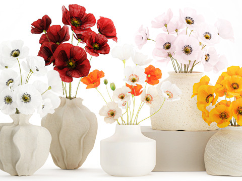 Kolekcja realistycznych bukietów dzikich kwiatów, zestaw maków, wystrój wazonu Model 3D