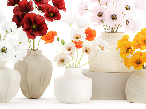 Kolekcja realistycznych bukietów dzikich kwiatów, zestaw maków, wystrój wazonu Model 3D