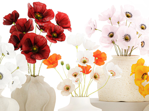 Kolekcja realistycznych bukietów dzikich kwiatów, zestaw maków, wystrój wazonu Model 3D