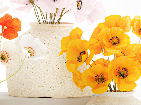 Kolekcja realistycznych bukietów dzikich kwiatów, zestaw maków, wystrój wazonu Model 3D