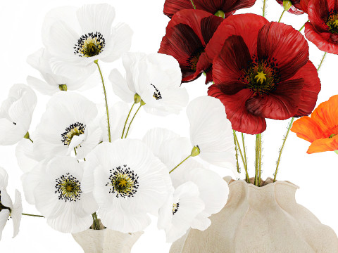 Kolekcja realistycznych bukietów dzikich kwiatów, zestaw maków, wystrój wazonu Model 3D