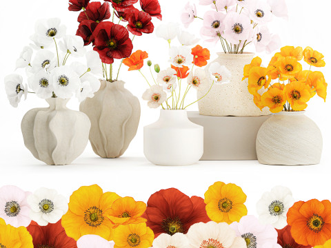 Kolekcja realistycznych bukietów dzikich kwiatów, zestaw maków, wystrój wazonu Model 3D