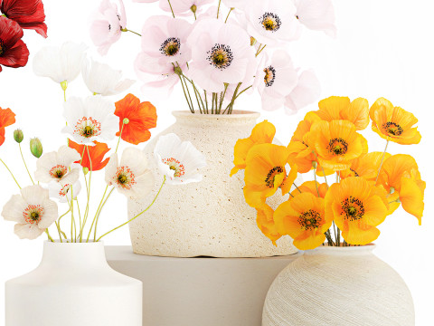 Kolekcja realistycznych bukietów dzikich kwiatów, zestaw maków, wystrój wazonu Model 3D