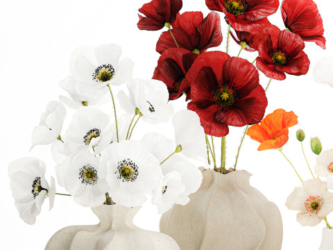 Kolekcja realistycznych bukietów dzikich kwiatów, zestaw maków, wystrój wazonu Model 3D