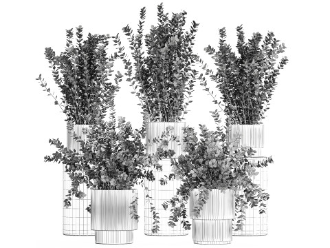 Sammlung Pflanzen Garten Landschaftsgestaltung Berberitzentöpfe 1490 3D Modell