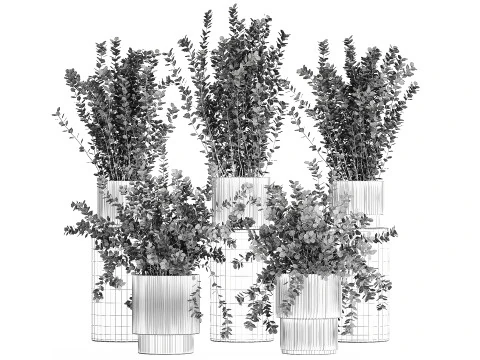 Collection plants garden landscape design Barberry pots 1490 3D Model