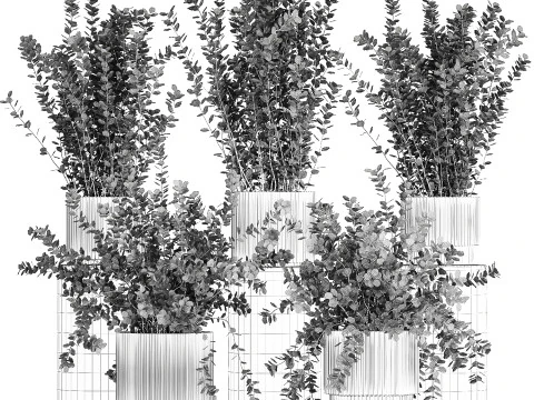 Collection plants garden landscape design Barberry pots 1490 3D Model