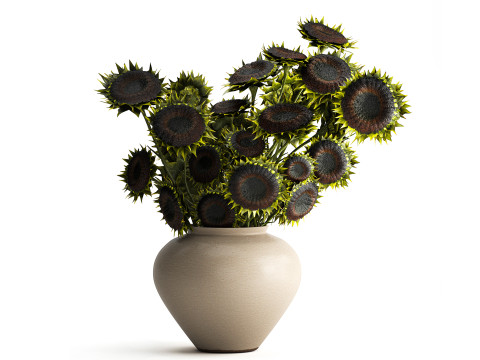 Bukiet zielonych czarnych młodych kwiatów słonecznika w wazonie wystrój 679 Model 3D