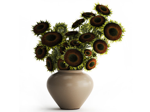 Букет зелені чорні молоді квіти соняшник ваза декор 679 3D Модель