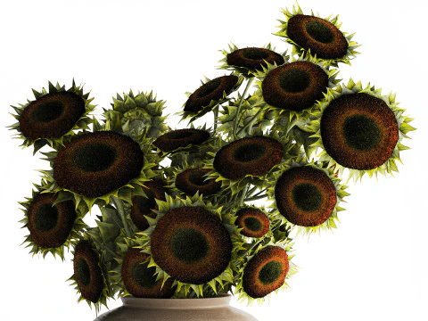 Buqu&ecirc; verde preto jovem girassol flores decora&ccedil;&atilde;o de vaso 679 Modelo 3D