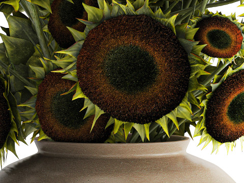 Buquê verde preto jovem girassol flores decoração de vaso 679 Modelo 3D