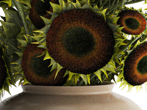 Buqu&ecirc; verde preto jovem girassol flores decora&ccedil;&atilde;o de vaso 679 Modelo 3D