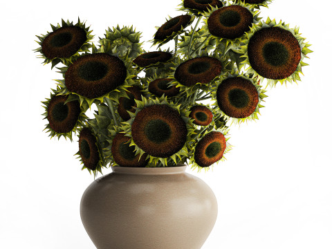Buquê verde preto jovem girassol flores decoração de vaso 679 Modelo 3D