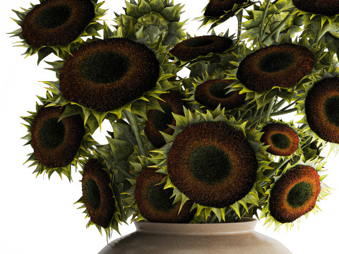 Buquê verde preto jovem girassol flores decoração de vaso 679 Modelo 3D