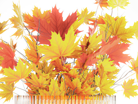 Autumn bouquet branches maple sycamore leaves decor vase 3D Model