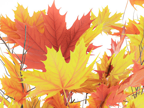 Autumn bouquet branches maple sycamore leaves decor vase 3D Model