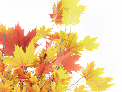 Autumn bouquet branches maple sycamore leaves decor vase 3D Model