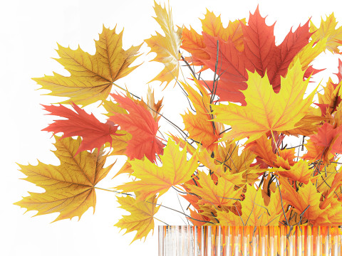 Autumn bouquet branches maple sycamore leaves decor vase 3D Model