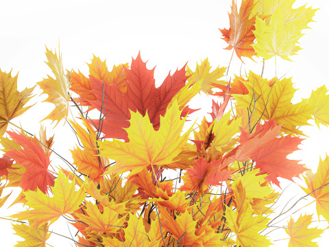 Autumn bouquet branches maple sycamore leaves decor vase 3D Model