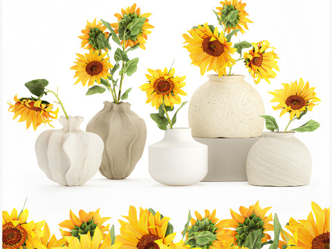 Collezione realistica di mazzi di fiori di campo, decorazioni per vasi di girasole Modello 3D