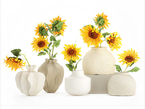Collection realistic wildflower bouquets sunflower vase decor 3D Model