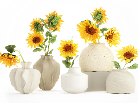 Collection realistic wildflower bouquets sunflower vase decor 3D Model