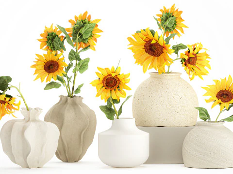 Collection realistic wildflower bouquets sunflower vase decor 3D Model