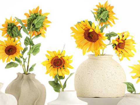 Collection realistic wildflower bouquets sunflower vase decor 3D Model