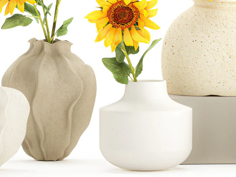 Collection realistic wildflower bouquets sunflower vase decor 3D Model