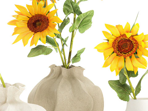 Collection realistic wildflower bouquets sunflower vase decor 3D Model