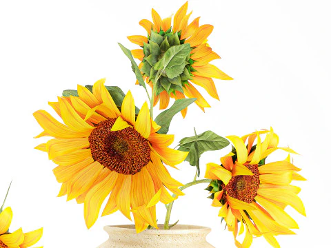 Collection realistic wildflower bouquets sunflower vase decor 3D Model