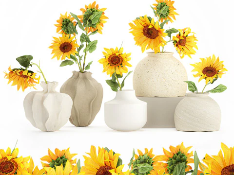 Collection realistic wildflower bouquets sunflower vase decor 3D Model