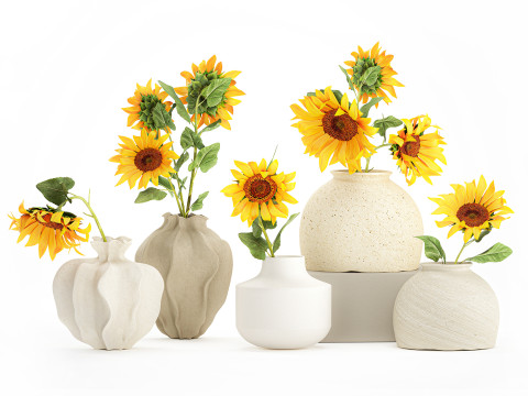 Sammlung realistischer Wildblumensträuße, Sonnenblumenvasendekor 3D Modell