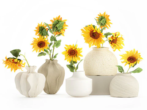 Collection realistic wildflower bouquets sunflower vase decor 3D Model
