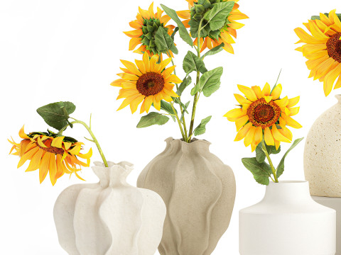 Sammlung realistischer Wildblumensträuße, Sonnenblumenvasendekor 3D Modell