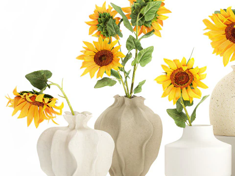 Collection realistic wildflower bouquets sunflower vase decor 3D Model