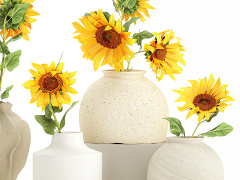 Collection realistic wildflower bouquets sunflower vase decor 3D Model