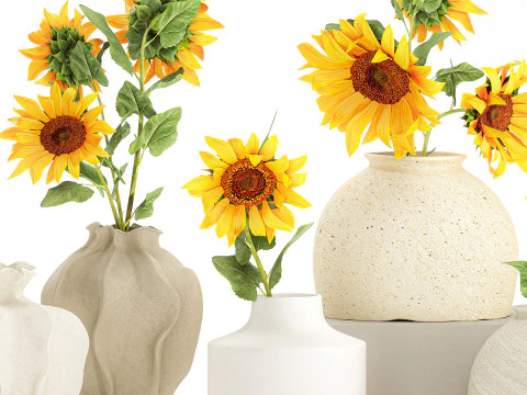 Collection realistic wildflower bouquets sunflower vase decor 3D Model