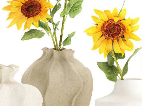 Collection realistic wildflower bouquets sunflower vase decor 3D Model