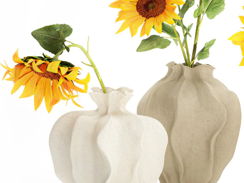 Collection realistic wildflower bouquets sunflower vase decor 3D Model