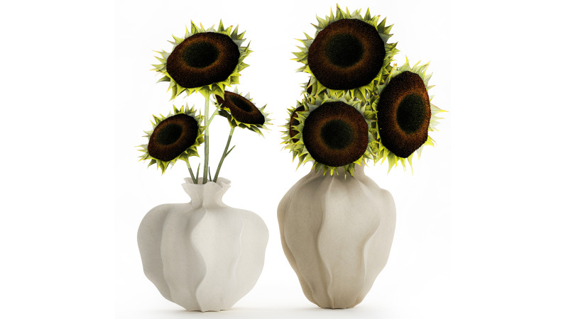 Realistic bouquet green black sunflower flowers vase decor 3D Model .c4d .max .obj .3ds .fbx .stl .blend 